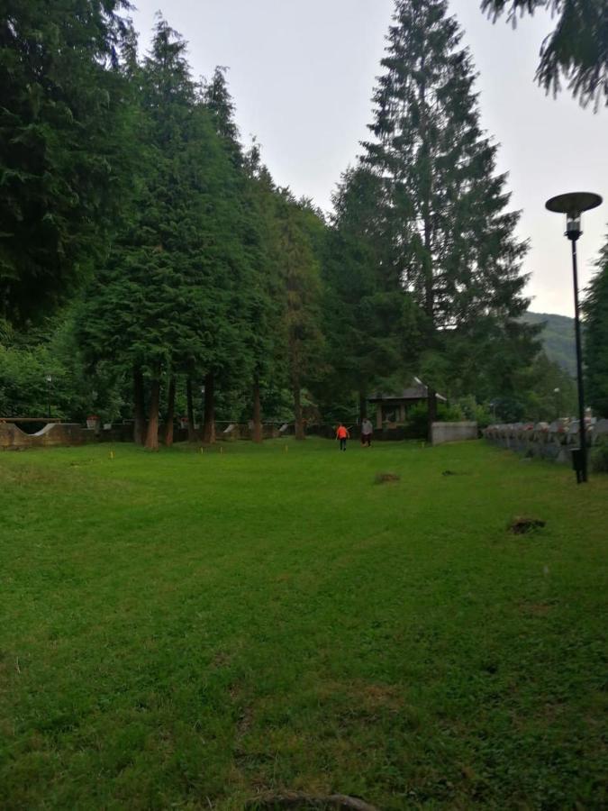 Natura *