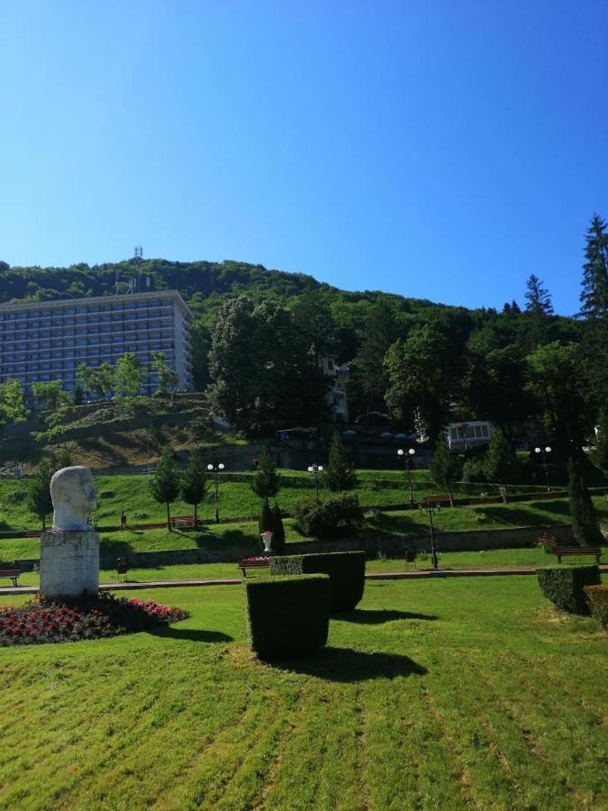Apartment Natura