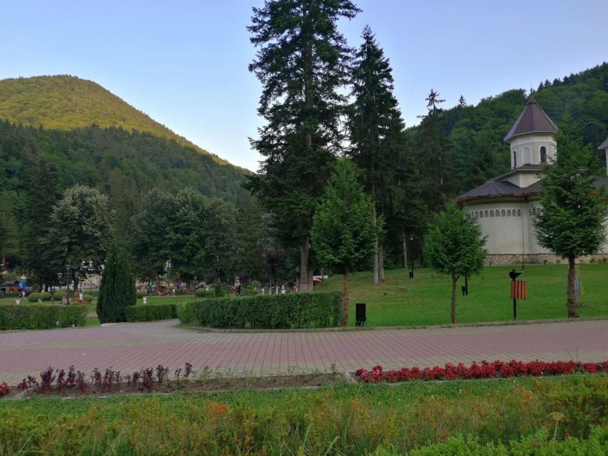 Natura * Slănic-Moldova