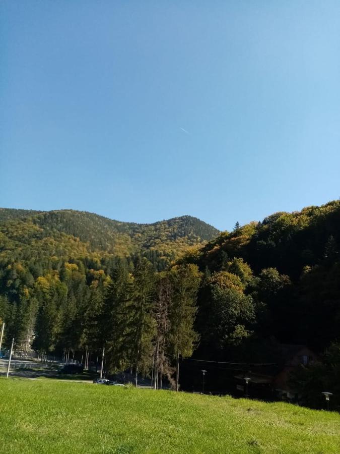 Natura Appartement